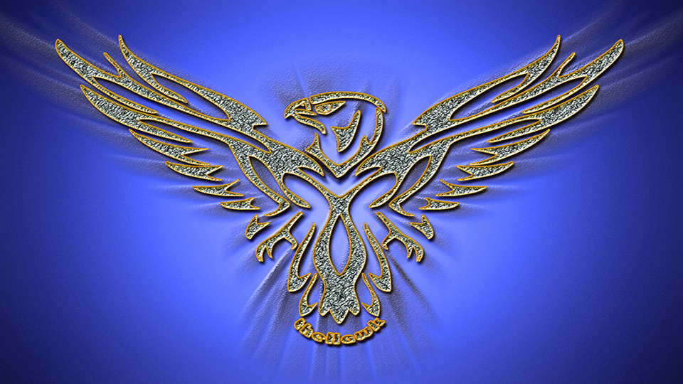 Hier kommen Sie wieder zurück zur Nexxusnova Startseite